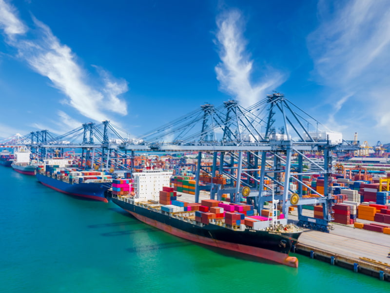 Zhejiang Zhongya Technology Group Co., Ltd.